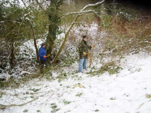 Opening up a new woodland glade along the Ash Brook