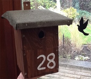 Birdbox