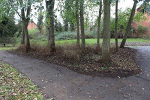 The Triangle’, after work by Green Gym and TMAEG volunteers