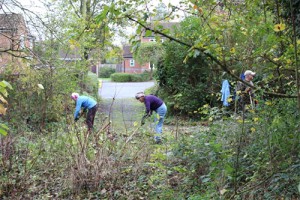 Work underway to create our Bee World – the path leads to Haithwaite