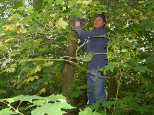 Just beyond the glade – TMAEG’s first bird box being installed by Peter Blyth