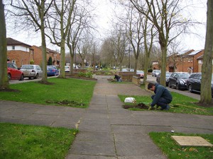 Ken (foreground) and Chris C planting tulip bulbs at six corner locations in the central garden