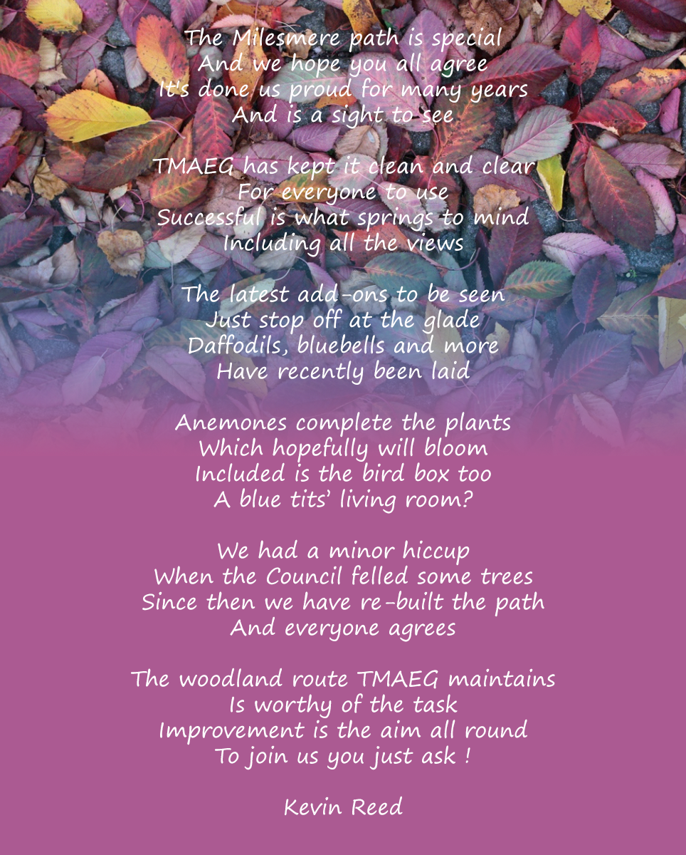 webautumnpoem2