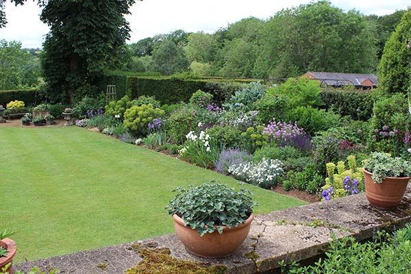 The holly hedge border, seen from the terrace 