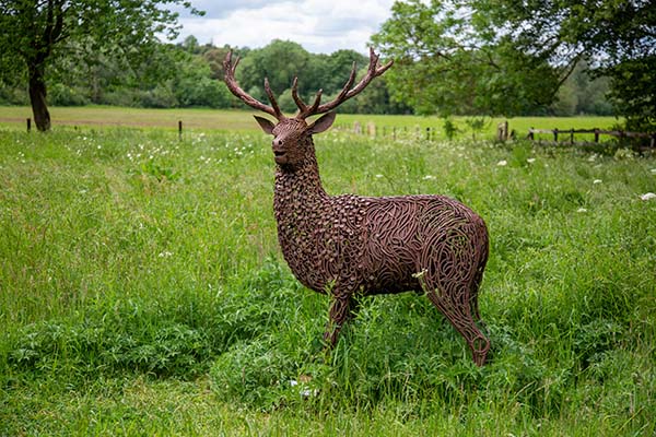 ‘Lord of all I survey’ – representation of a stag in the wildflower meadow