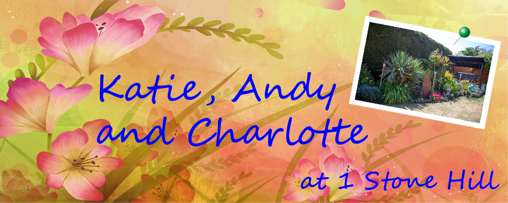 A garden by Katie, Andy and Charlotte