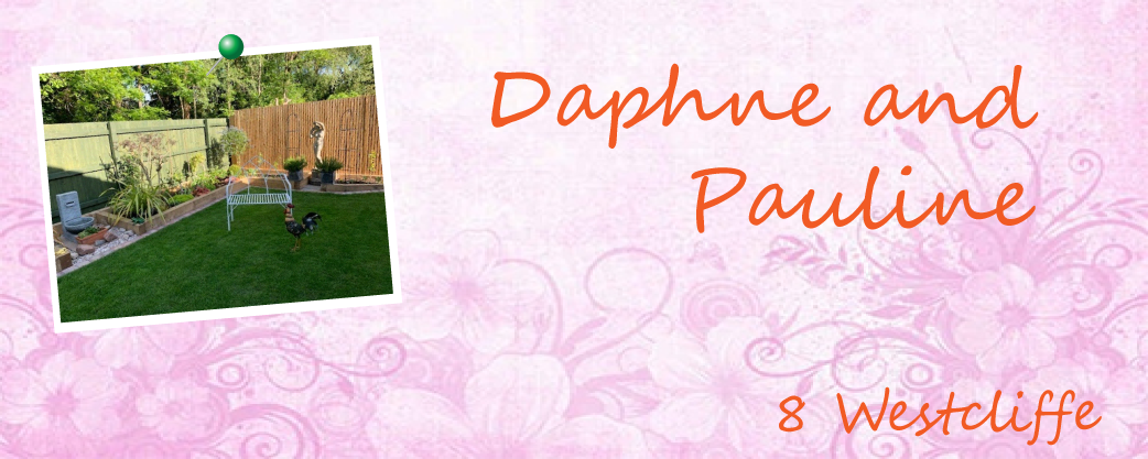 A garden by Daphne and Pauline