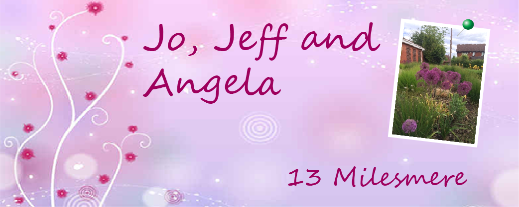 A garden by Jo, Jeff and Angela