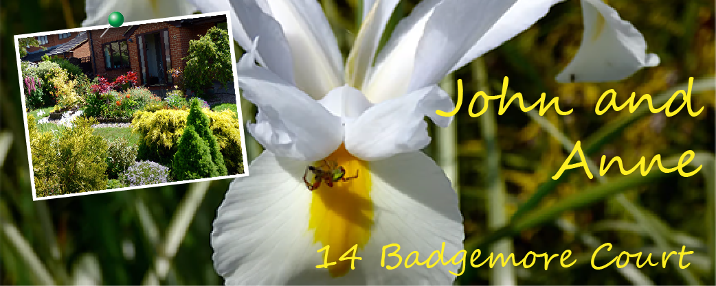 A garden by John and Anne