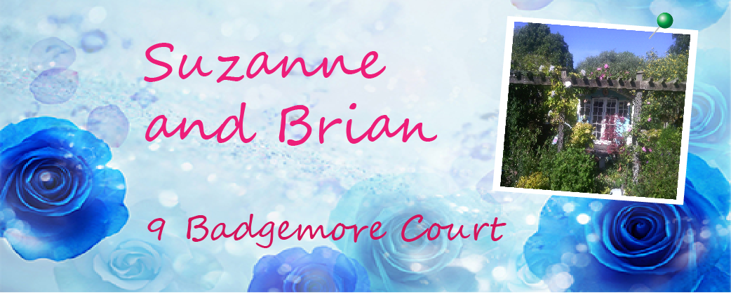 A garden by Suzanne and Brian